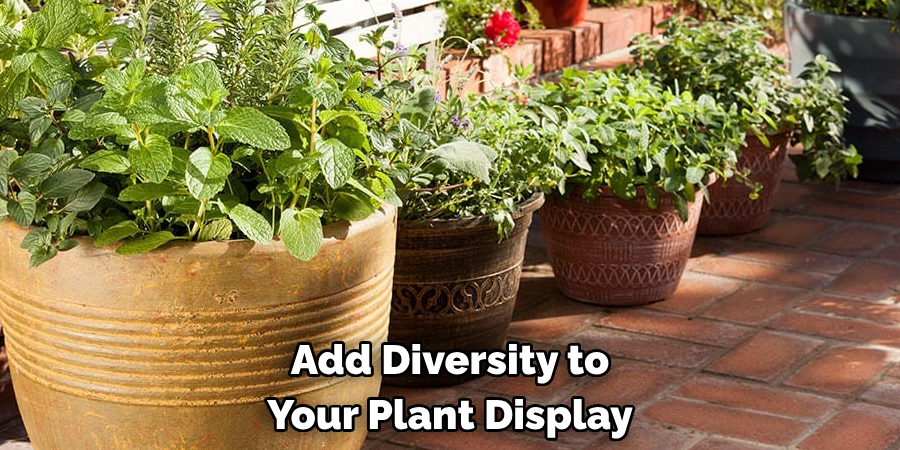 Add Diversity to Your Plant Display