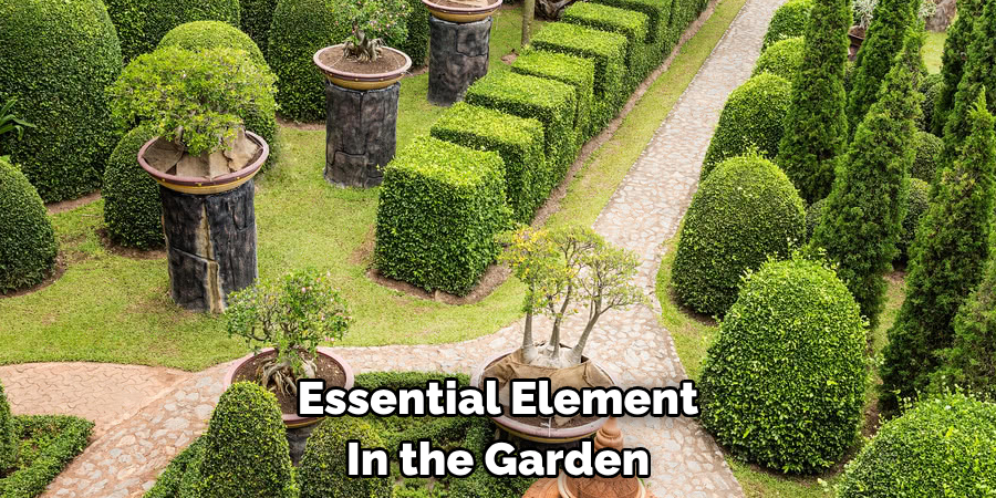 Essential Element In the Garden