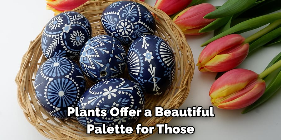 Plants Offer a Beautiful Palette for Those
