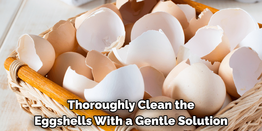 Thoroughly Clean the Eggshells With a Gentle Solution