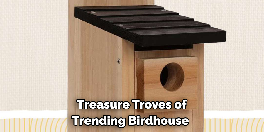 Treasure Troves of Trending Birdhouse
