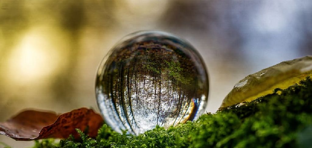 How to Decorate Moss Balls
