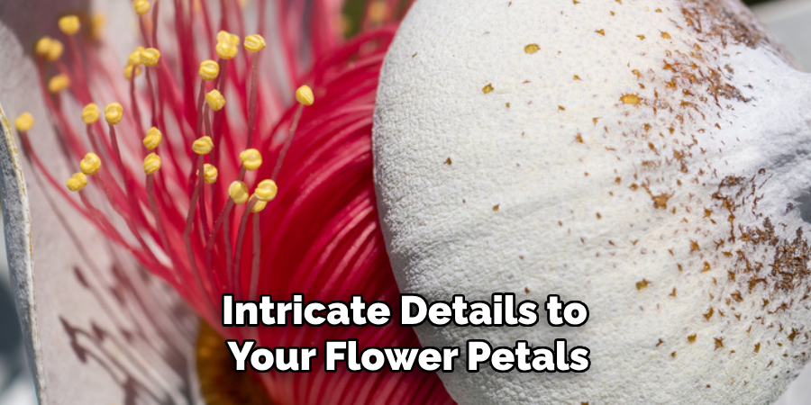 Intricate Details to
 Your Flower Petals