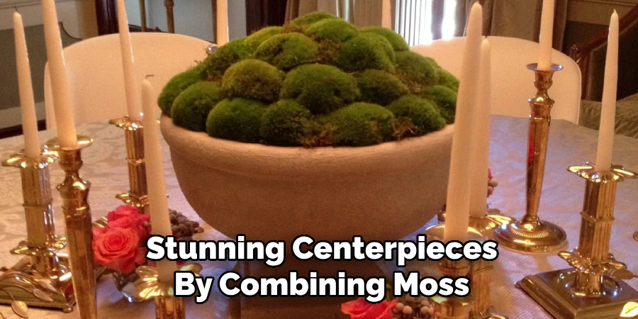 Create Stunning Centerpieces
By Combining Moss